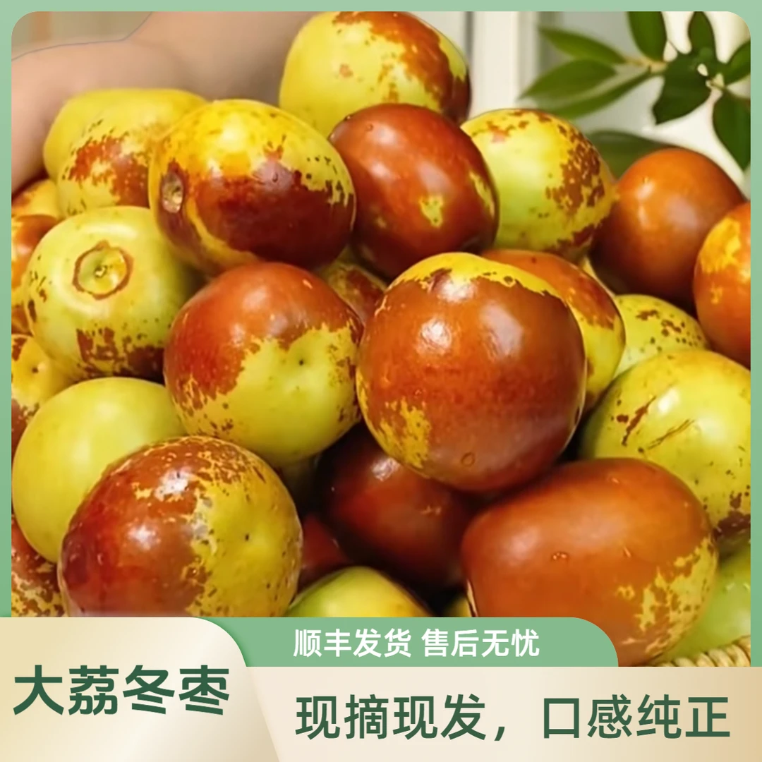 【顺丰包邮】陕西精选大荔冬枣1-3斤新鲜采摘清脆爽口原产地直发