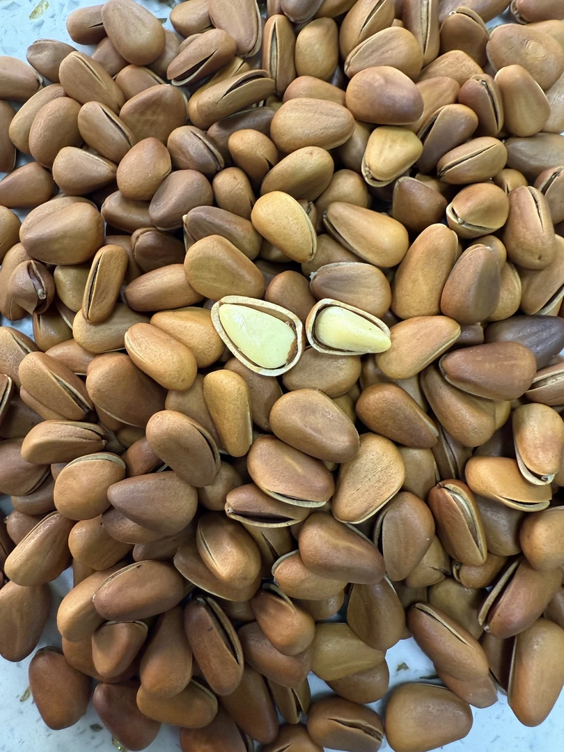 东北松子年货特产大颗粒开口松子坚果500g