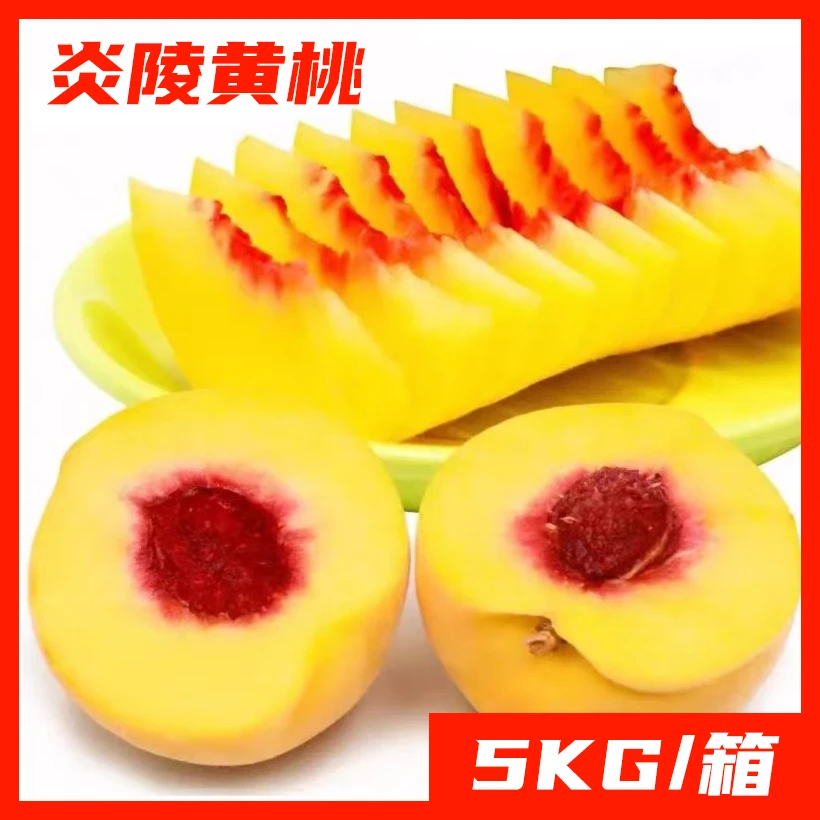 炎陵黄桃5kg-湖南炎陵特产黄桃