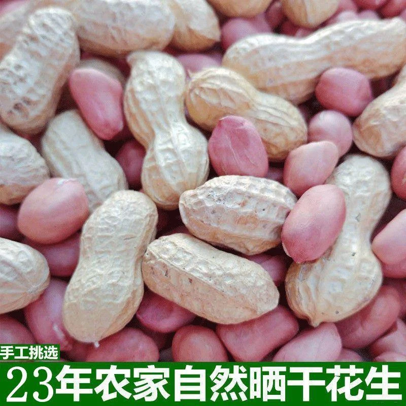 23年带壳生花生晒干新鲜带皮生花生米5斤原味炒熟花生100g3斤手工