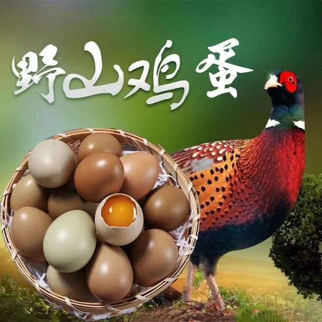 【30枚试吃装】  新鲜现捡七彩山鸡蛋  一枚24克左右