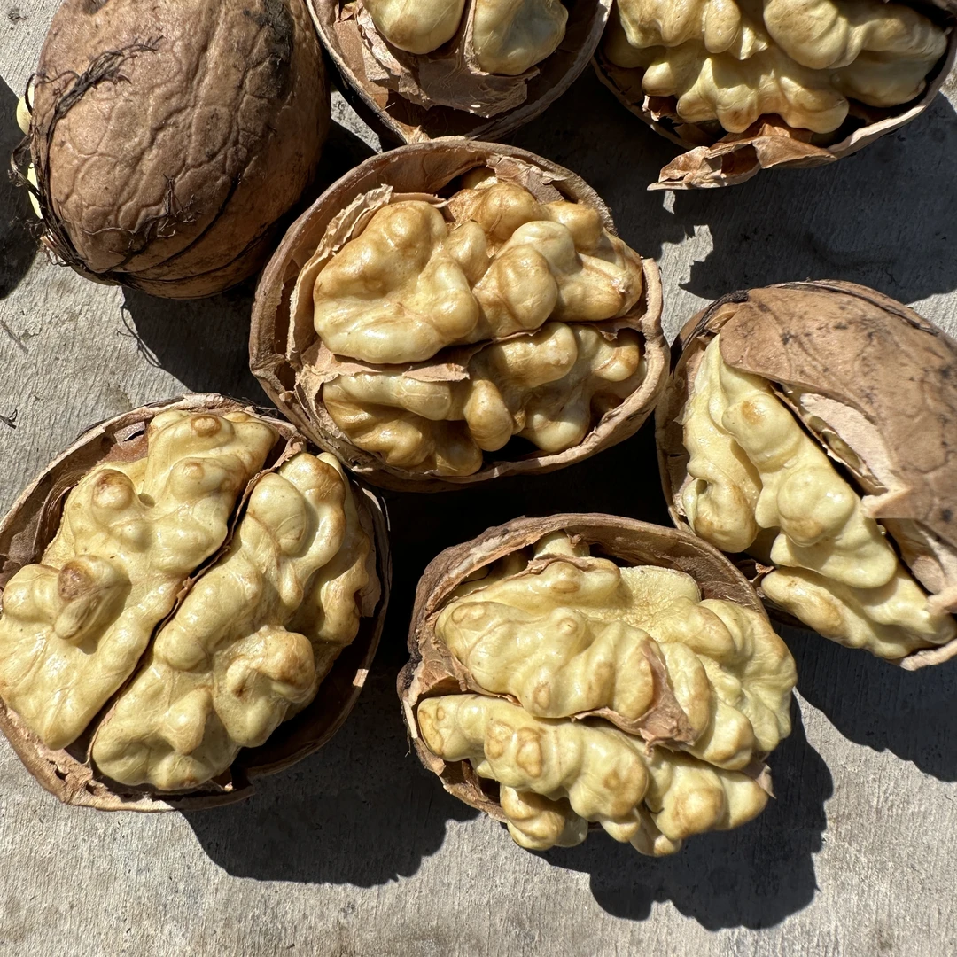 新疆阿克苏185纸皮核桃 原生态未清洗【新疆发货 有运费险】