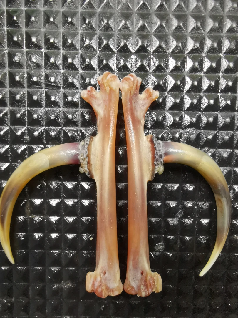 鸡凳子工艺品，一对弯钩，物有所值。