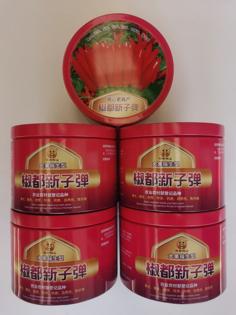 “椒都新子弹”三系选育 抗病高产