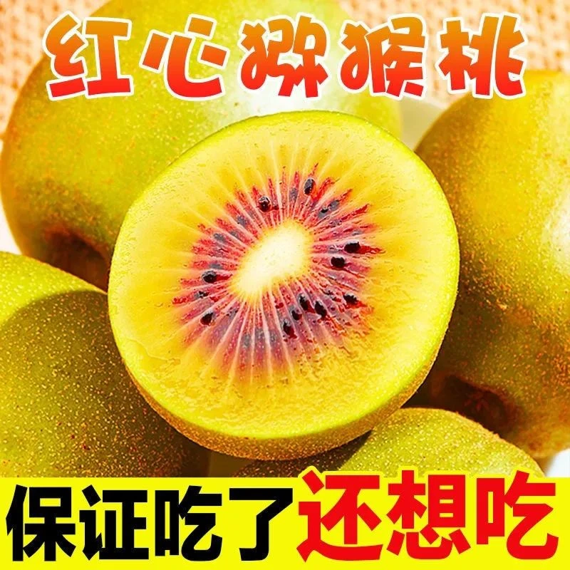 现采现发纯甜无酸贵州六盘水水城红阳红心猕猴桃奇异果小果50-70g