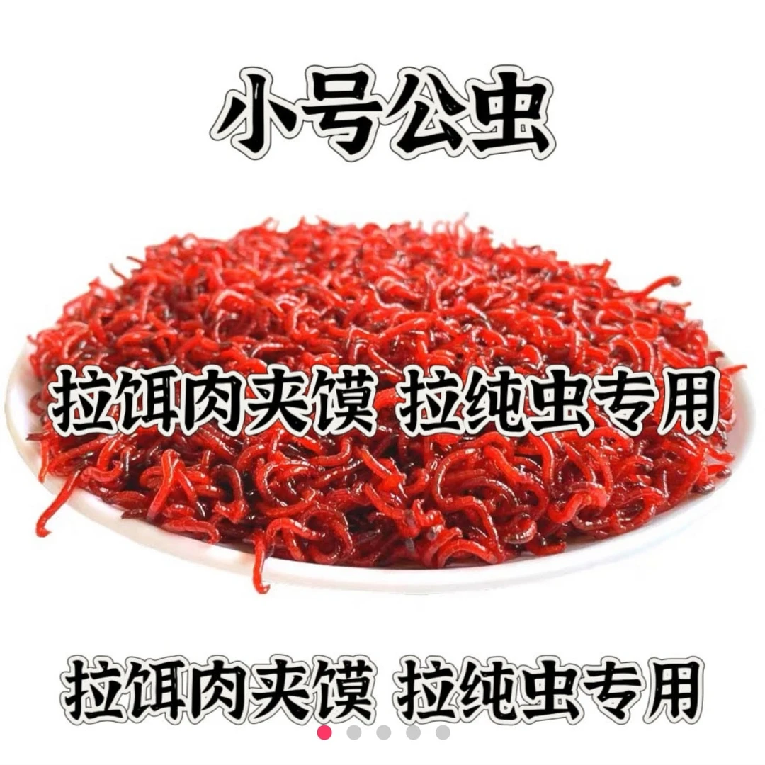 小号鲜活红虫活饵钓鱼饵料野钓鲫鱼拉饵神器