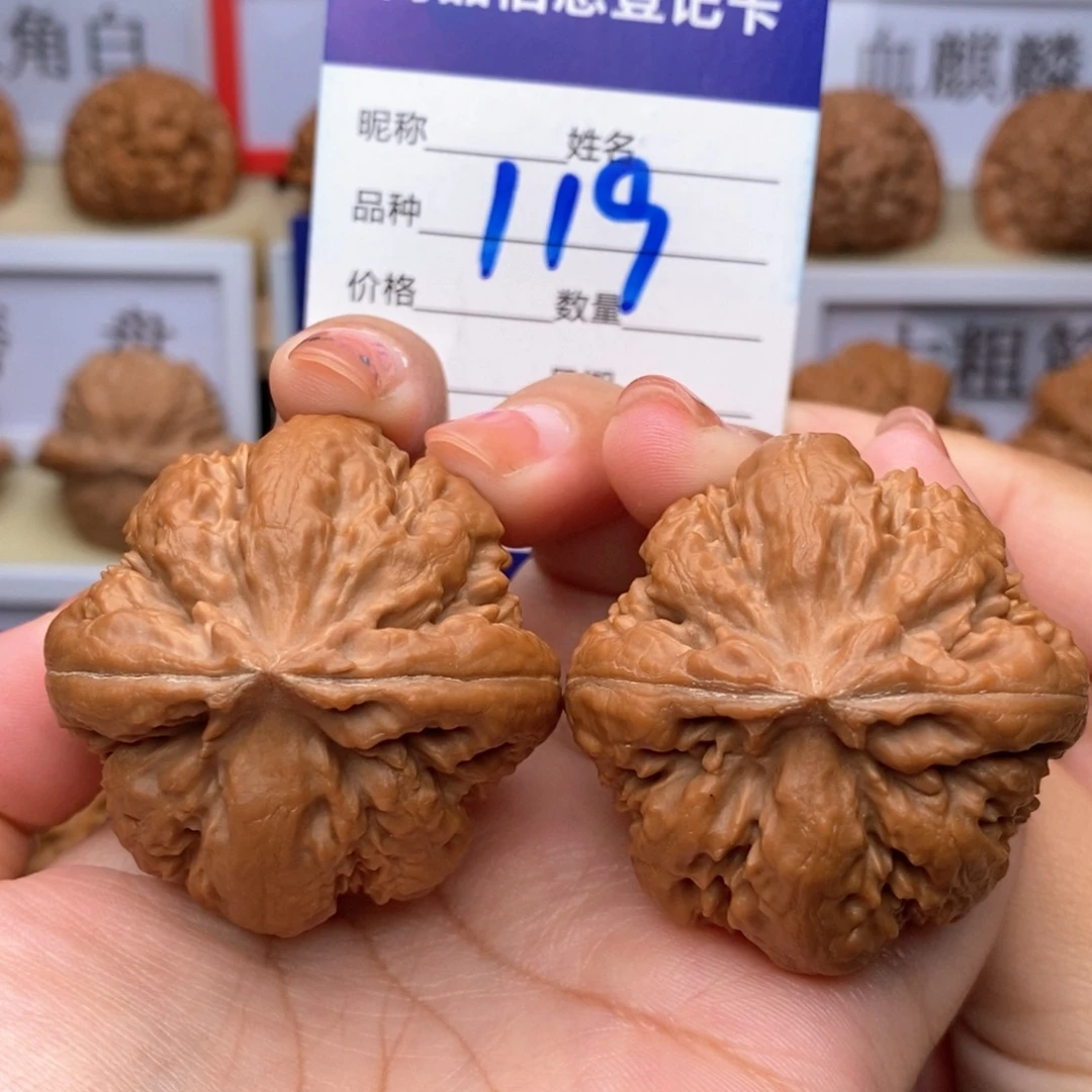 文玩核桃把件41.5粗筋霸王龙119