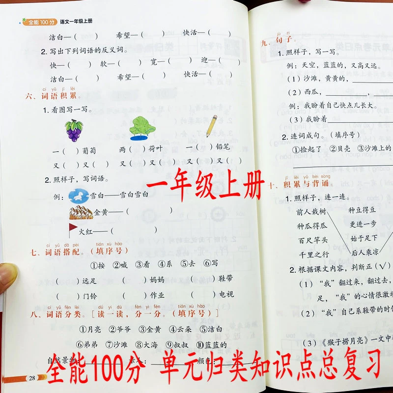 人教版一年级上册语文单元归类期末总复习知识点重难点专项复习题