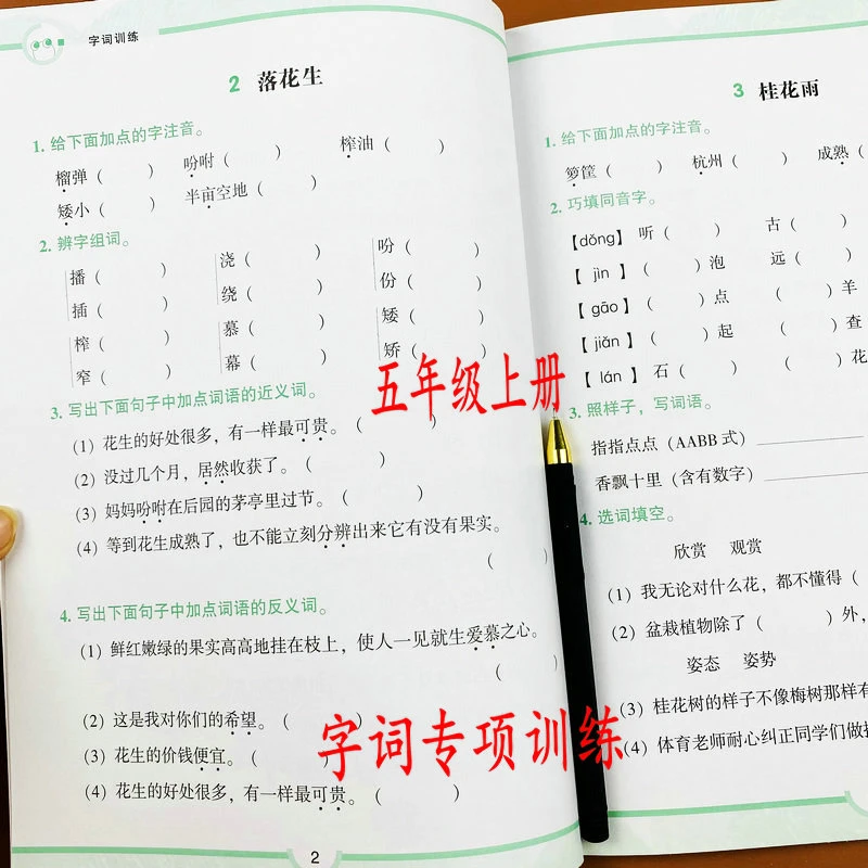 学霸语文基础课堂五年级上册字词专项训练人教版课本同步一课一练