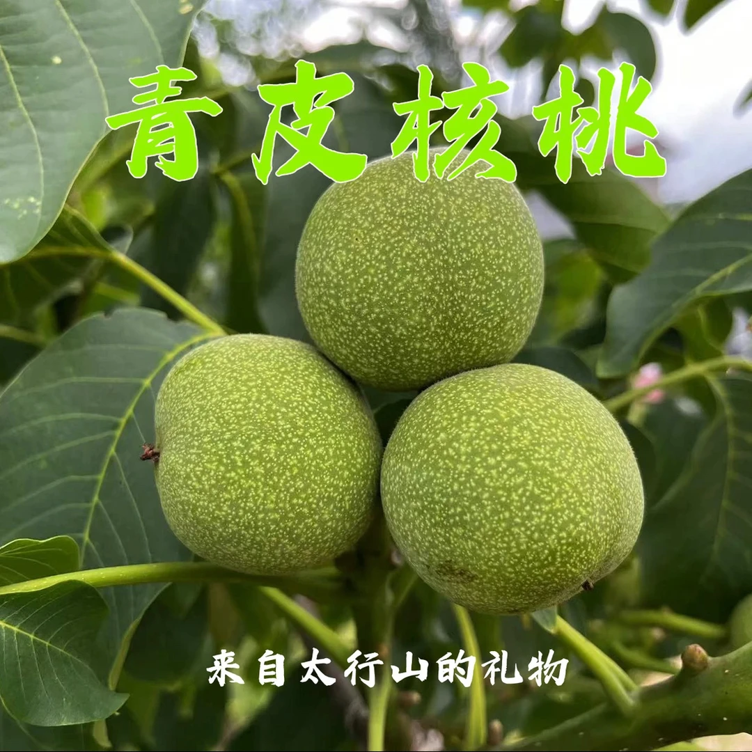 2024山西礼品二号新鲜纸皮核桃水果核桃湿核桃