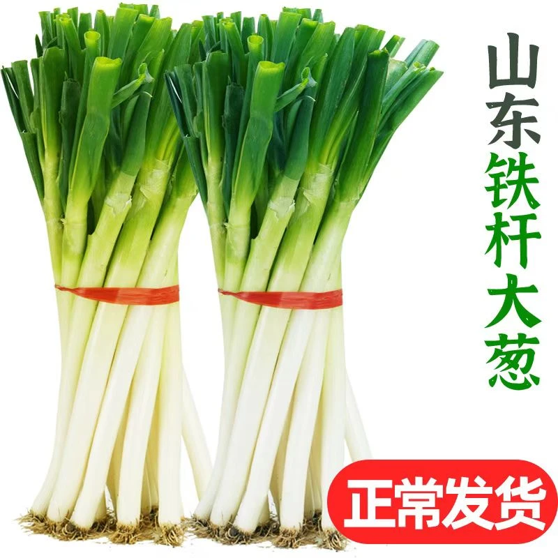 山东大葱铁杆大葱农家自种3斤/5斤产地直发绿色干净鲜嫩多汁美味