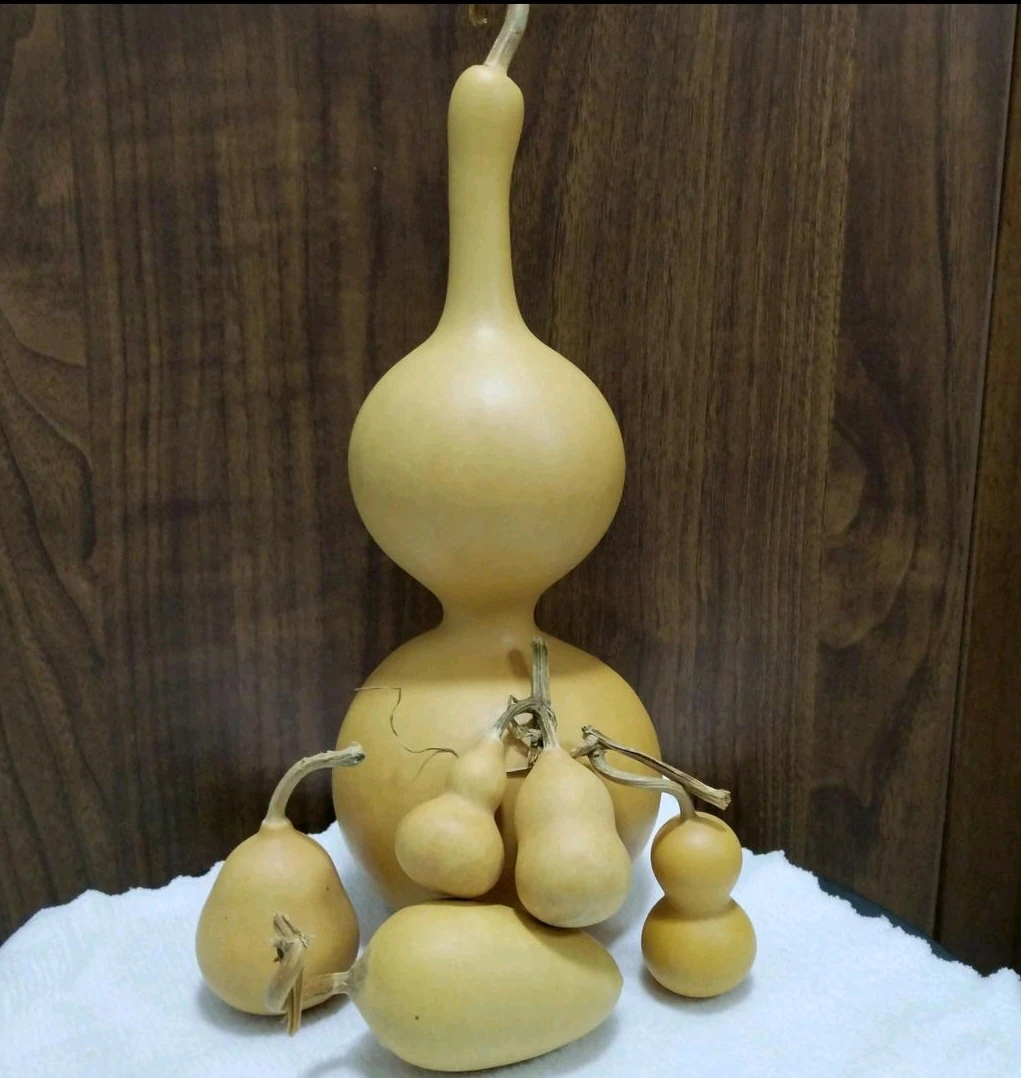 直播选品葫芦链接，非请勿拍！