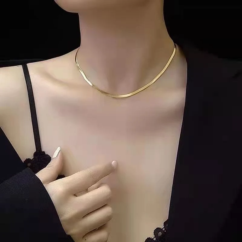 钛钢项链 欧美宽蛇骨链女不掉色刀片链高级感轻奢锁骨链爆款
