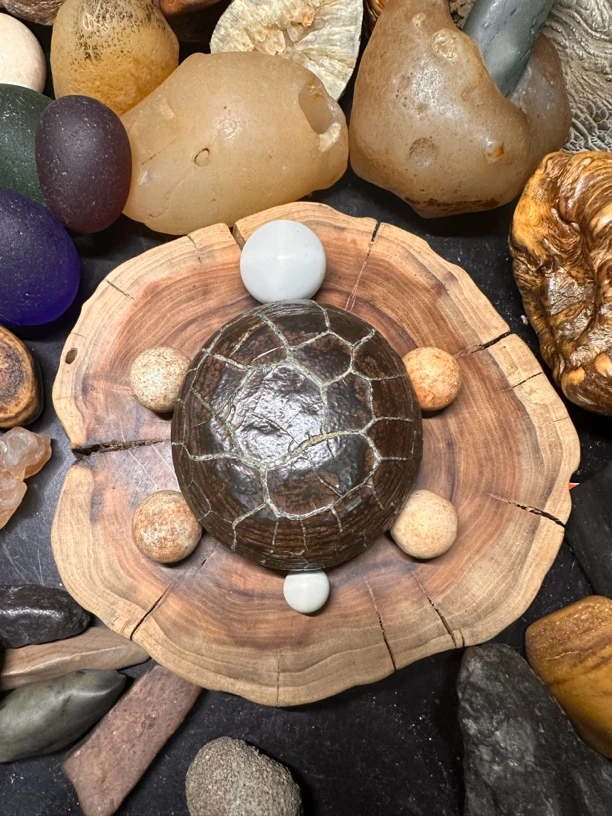 龟纹石，型好#手把件#天然原石#