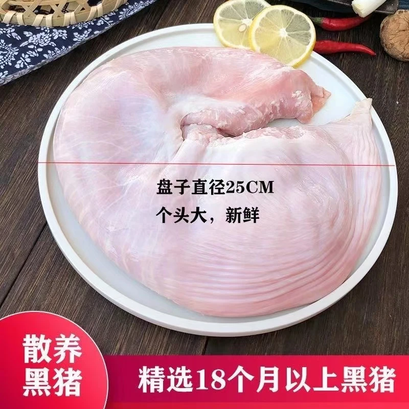 正宗农家散养生鲜猪肚3斤净重猪肚子 精选新鲜猪肚冷冻 顺丰包邮