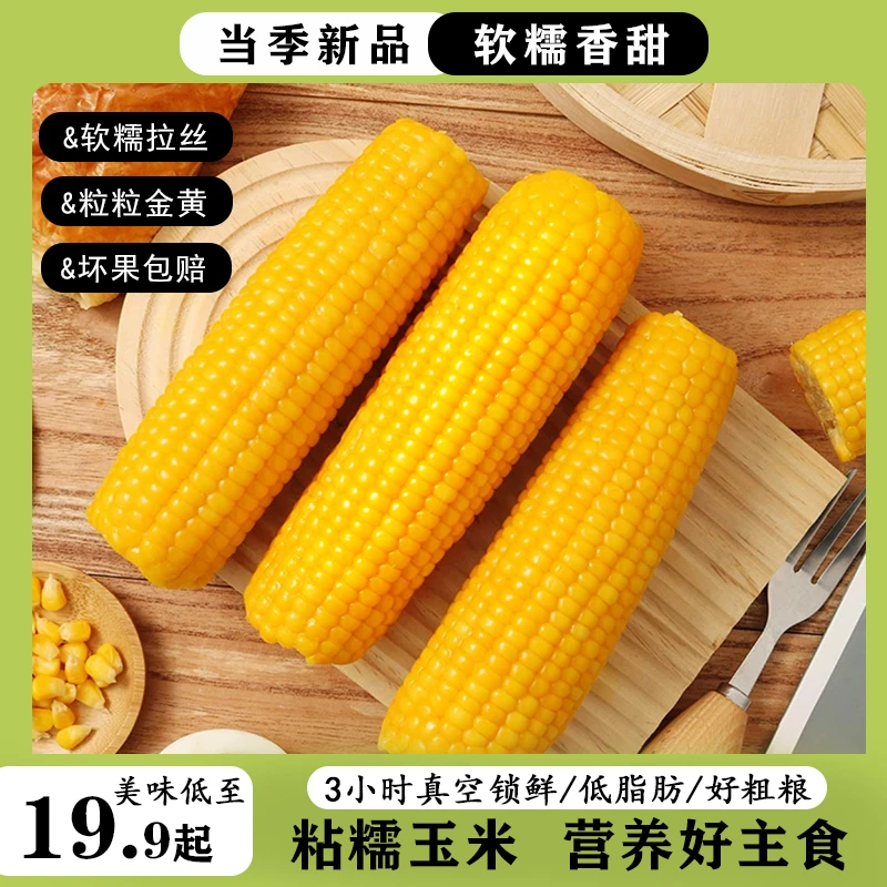 东北头茬博斯糯九黄糯玉米10根整箱5.5斤起轻食代餐软糯香甜粗粮