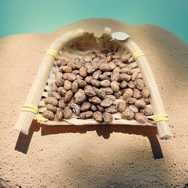 【农民电商】陕北老豇豆麻豇豆农家自种江豆花江豆饭豆五谷杂粮