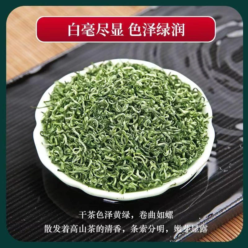 川茶新茶四川雅安蒙顶山茶商务送礼高山绿茶正宗一芽一叶栗香茶