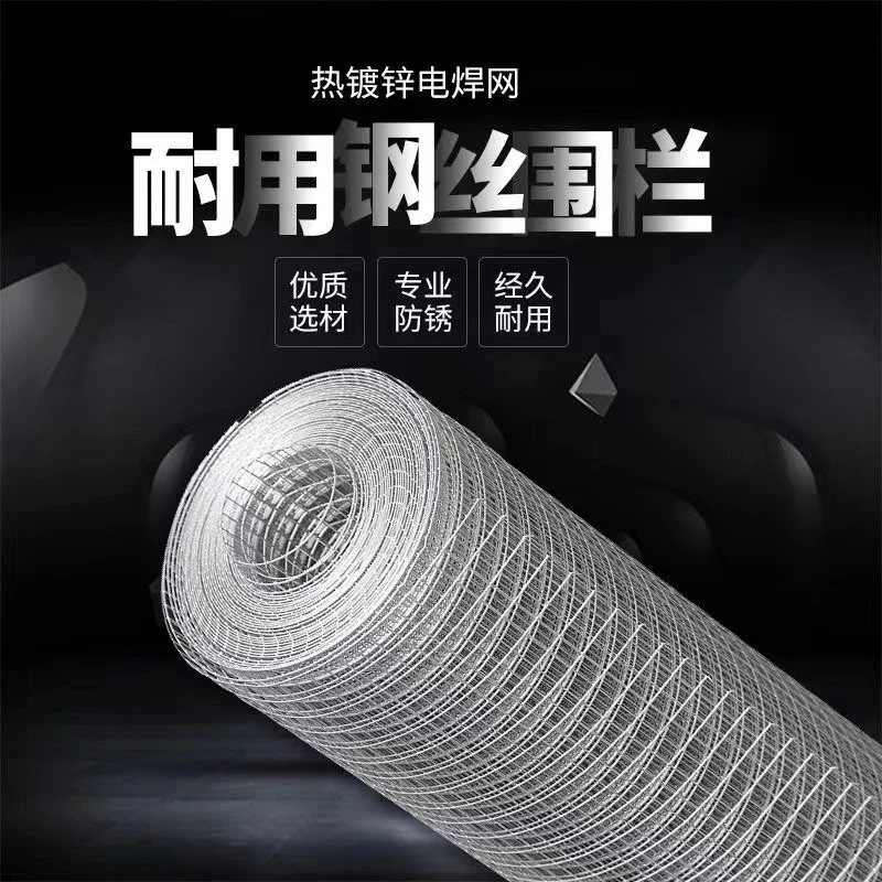 防锈铁丝网热镀锌拦鸡养鸡铁丝防护钢丝防护网养鸡网围栏批发镀锌
