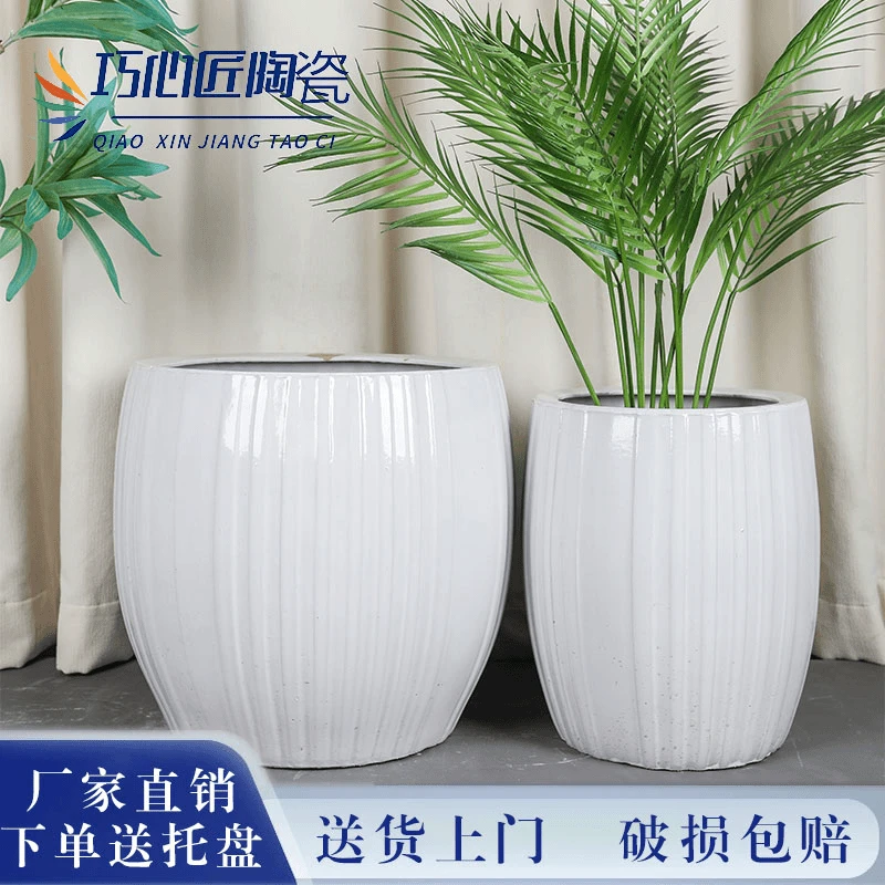 室内落地简约白色球形陶瓷花盆大口径天堂鸟种树