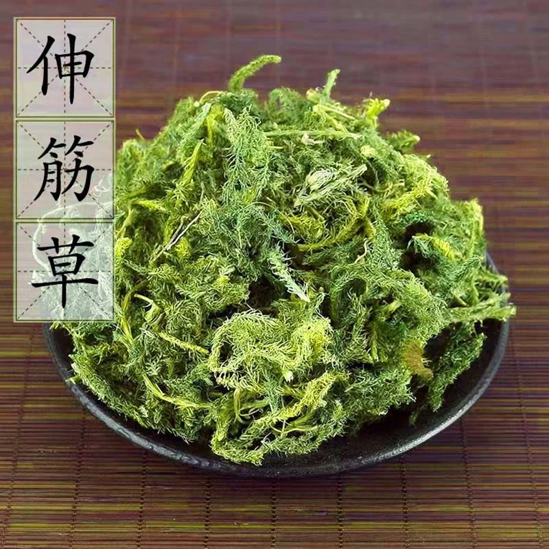 【正品】伸筋草高品质料材舒金草300/600g包邮X