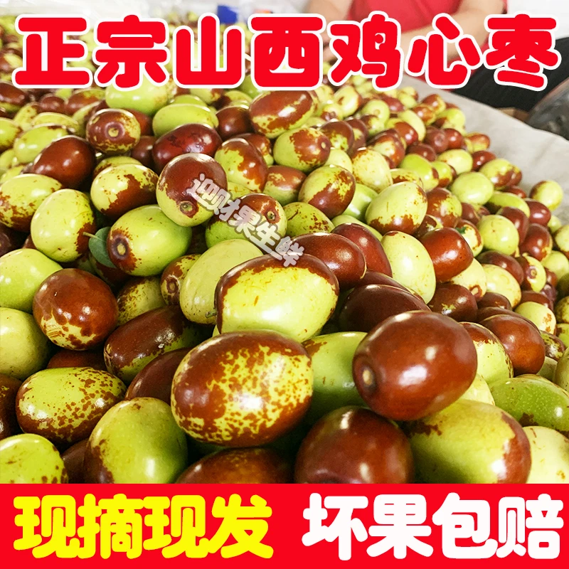 脆甜鸡心枣新鲜大红枣长枣山西鲜蒸枣醉枣子弹头马牙枣金丝小枣