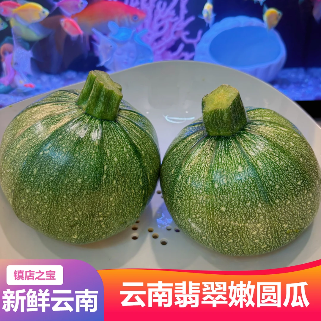 云南嫩瓜南瓜新鲜小圆瓜甜脆青皮嫩瓜现摘当季时令甜糯新鲜嫩南瓜