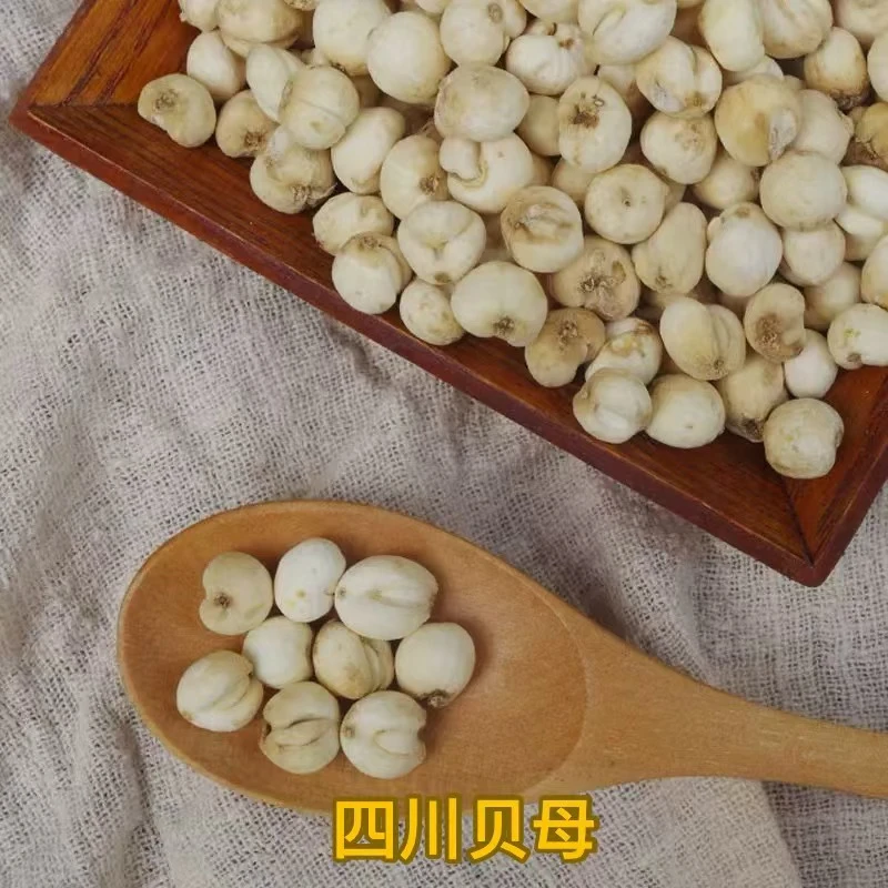 现收今年新货四川高山贝母 原色小粒可搭配百合 雪梨炖煮