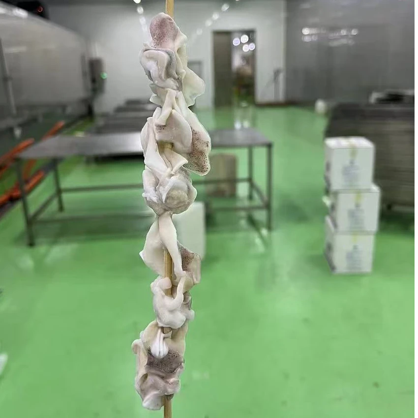 鱿鱼脖串把把串网红小串铁板鱿鱼手把串手工烧烤38g