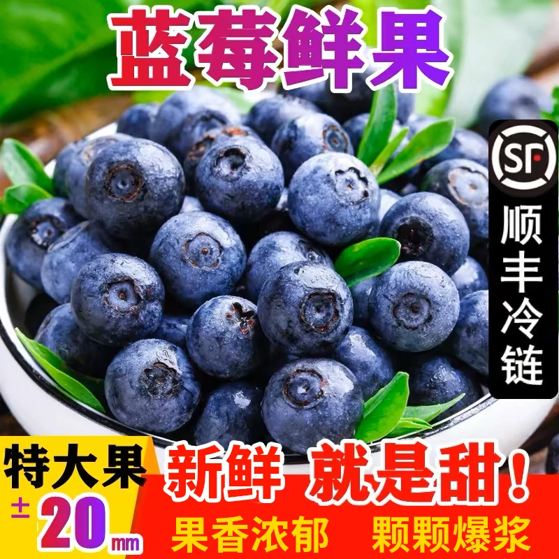 【福利4盒】蓝莓新鲜水果当季蓝梅鲜果高山怡颗甜莓孕妇大果包邮