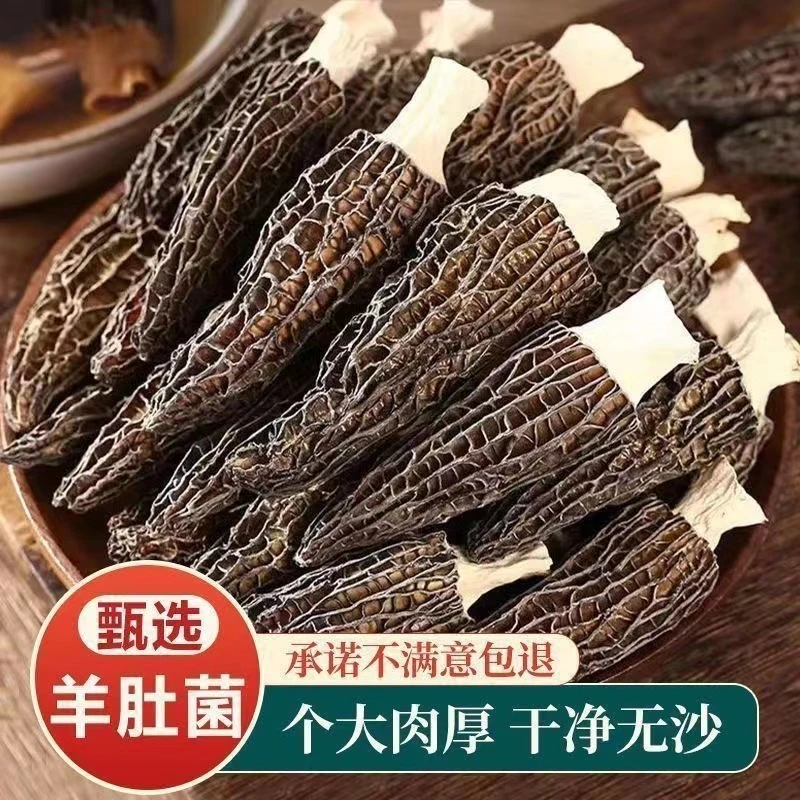 精选干羊肚菌新鲜头茬甄选原生原生煲汤美味