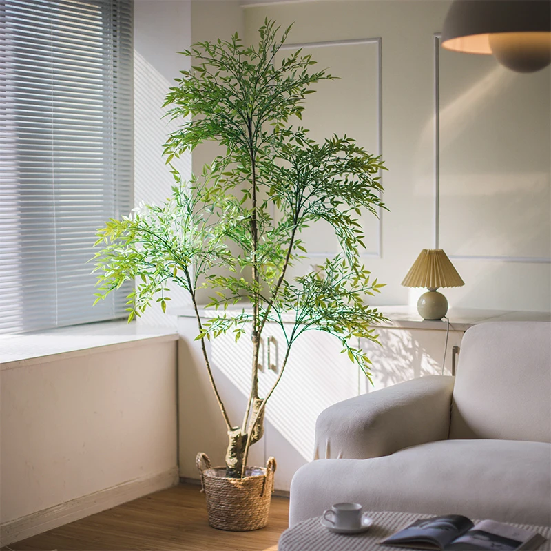 南天竹水培绿植盆栽室内网红水培植物火焰南天竹红叶老桩客厅阳台