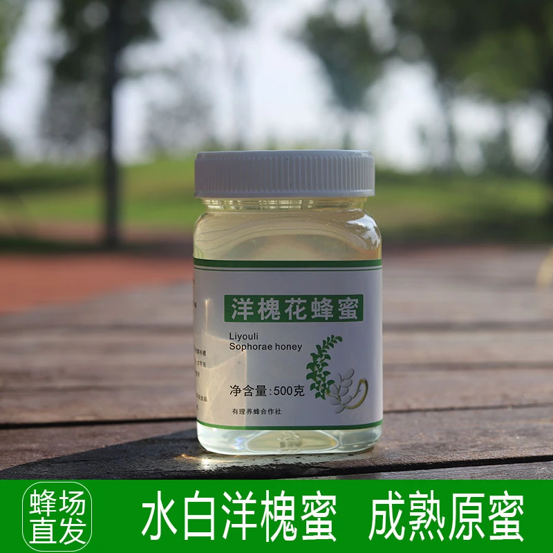 李有理正宗槐花蜂蜜瓶装自家蜂场天然野生成熟蜂蜜一斤装假一赔十