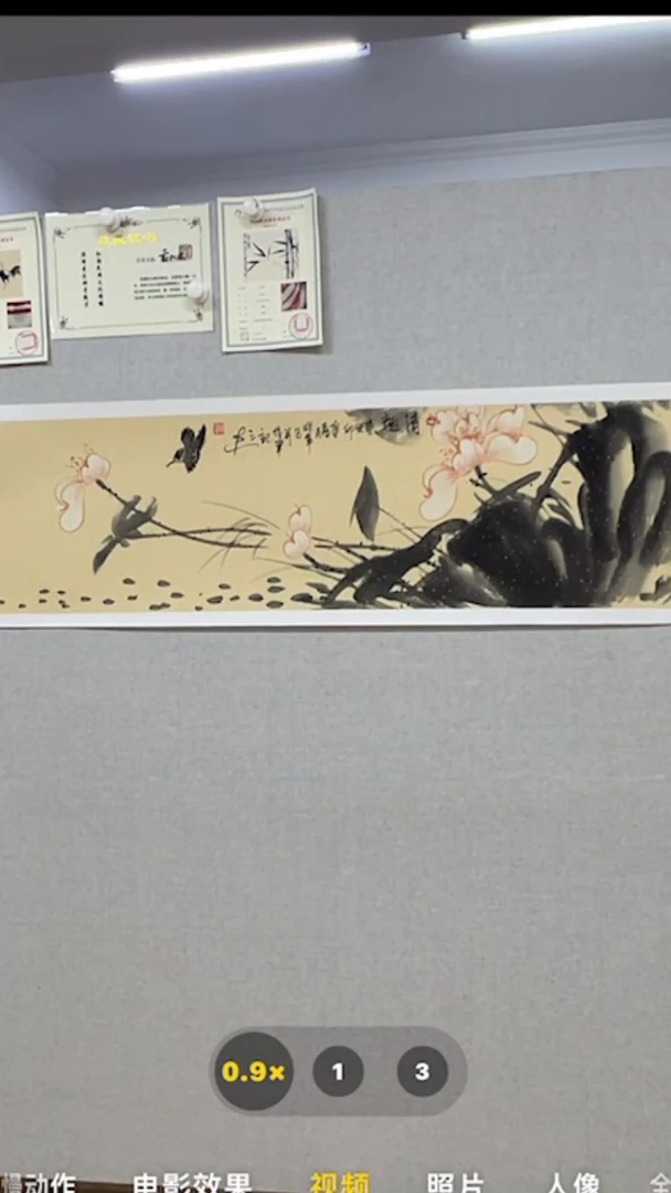 【闪购商品】书法精品书画绘画真迹作品   谭小军