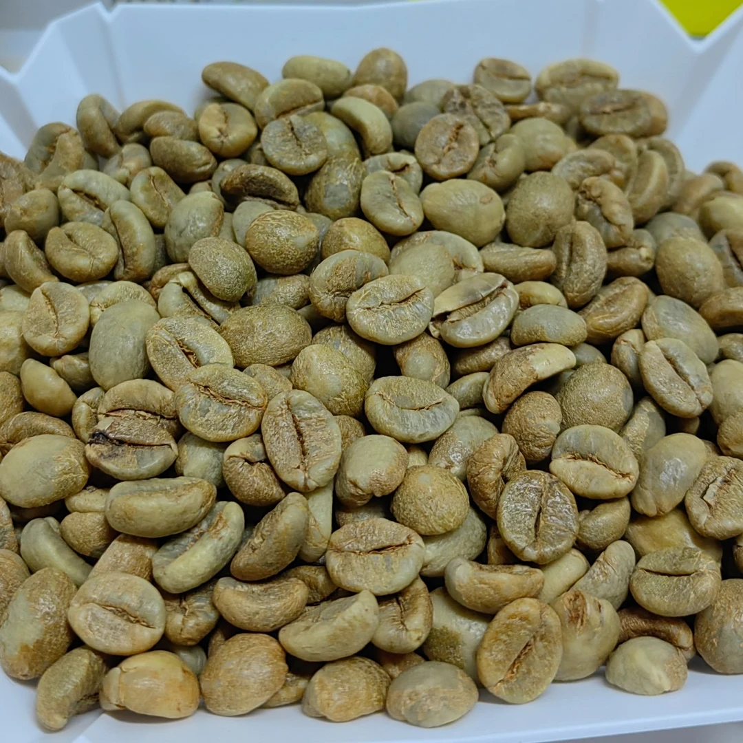 乌干达罗布斯塔12目咖啡豆