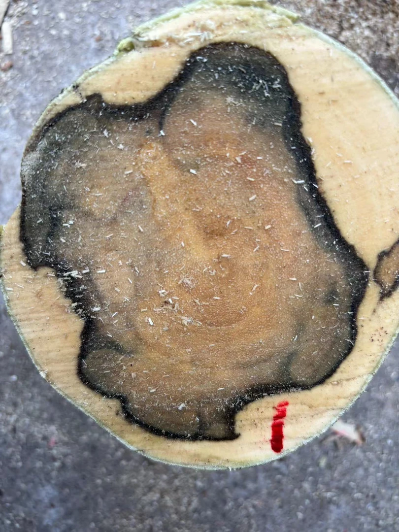 原木段 香头摆件 家居摆件 纯手工