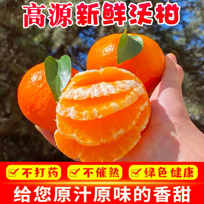 高源新鲜沃柑1-10斤现摘砂糖橘桔耙皇帝橘柑桔孕妇水果纯甜整箱