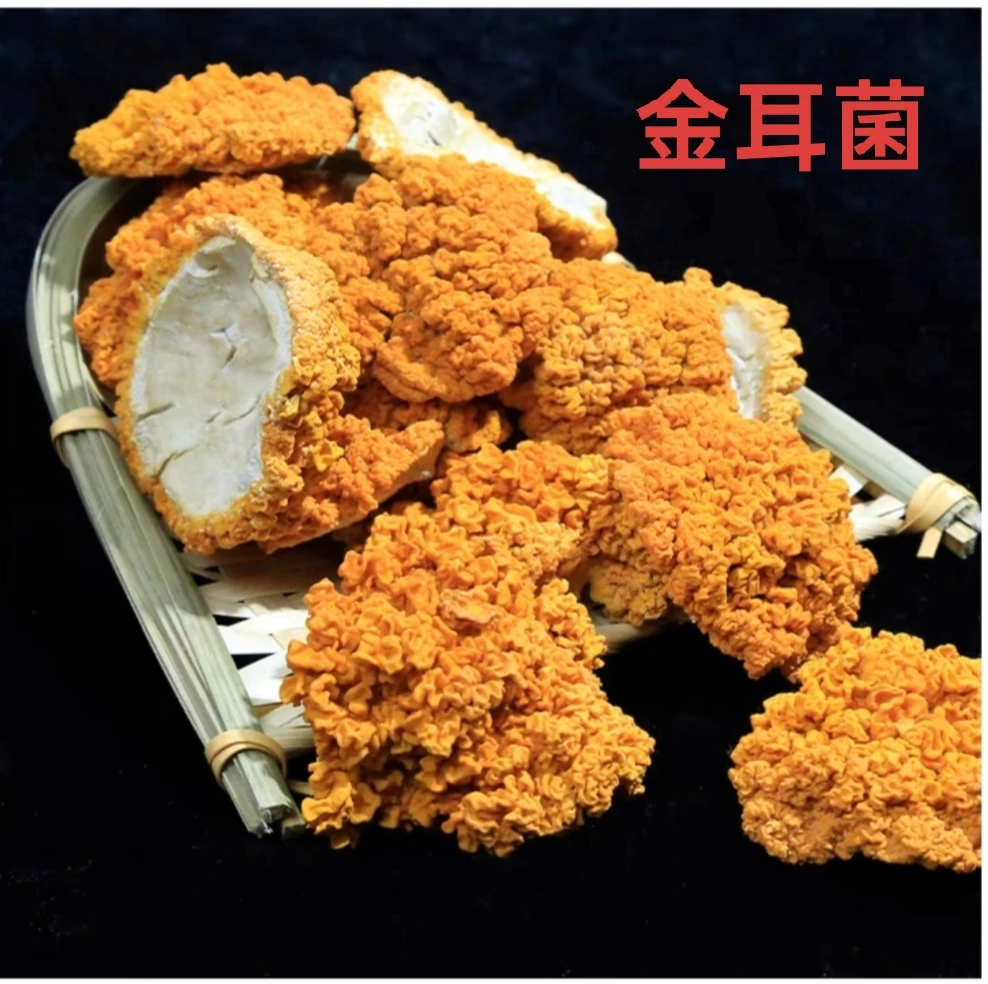 2024 新货金耳菌干货无硫熏食用菌食材煲汤料