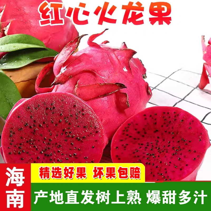 海南红心火龙果 现摘京都一号香甜多汁皮薄肉厚当季水果5/8斤顺丰