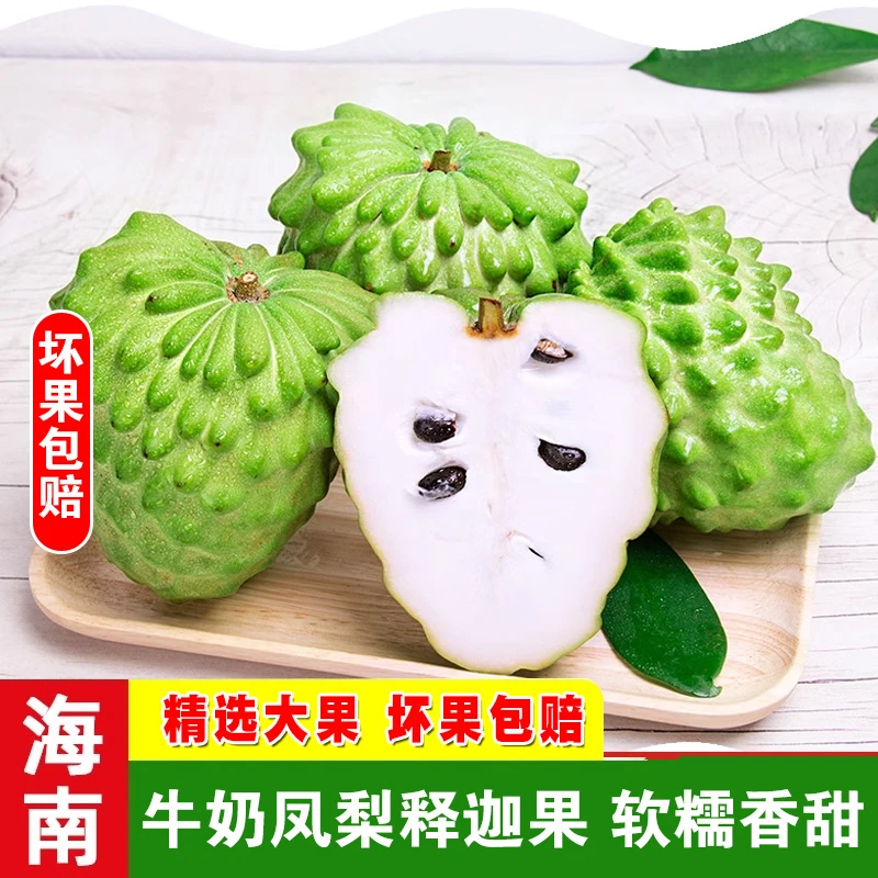 海南牛奶释迦果 大目释迦细腻嫩滑口感香甜新鲜3斤-5斤顺丰包邮