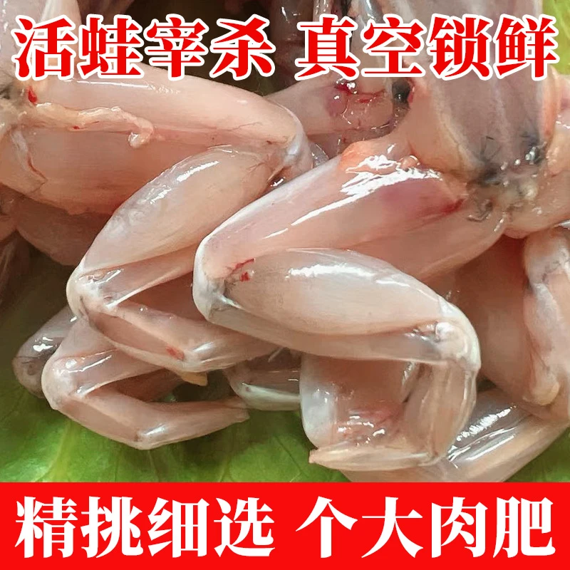 【美人腿】蛙之道青蛙鲜活现杀稻田散养新鲜田鸡烧烤食材批发072802