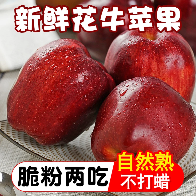 【脆粉两吃】甘肃天水花牛苹果 3-9斤当季水果红蛇果新鲜一整箱包邮