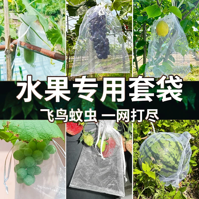 果树防虫网袋防鸟纱网袋保护葡萄袋无花果番石榴草莓套袋桃子套袋