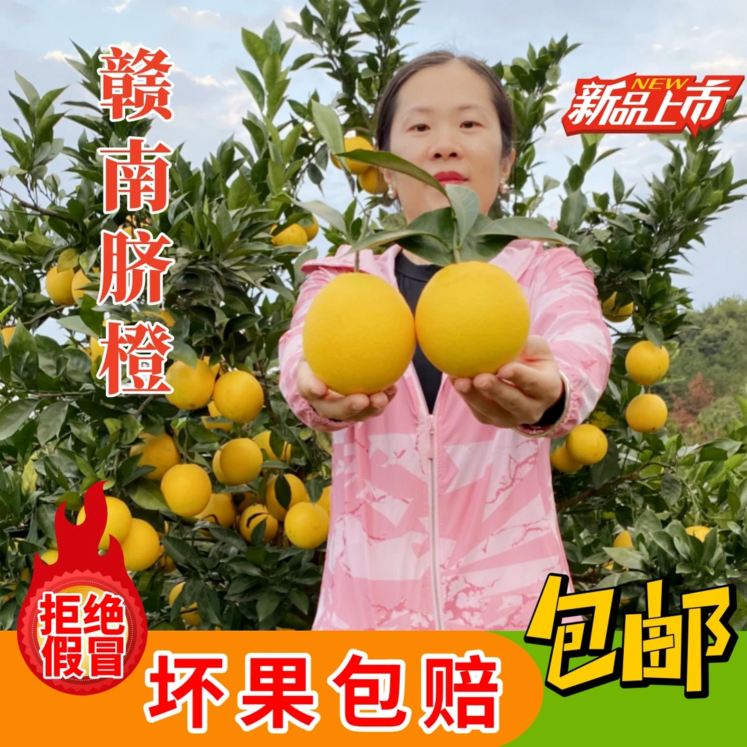 正宗江西赣南脐橙应季水果新鲜橙子产地直发现摘手剥皮薄直播