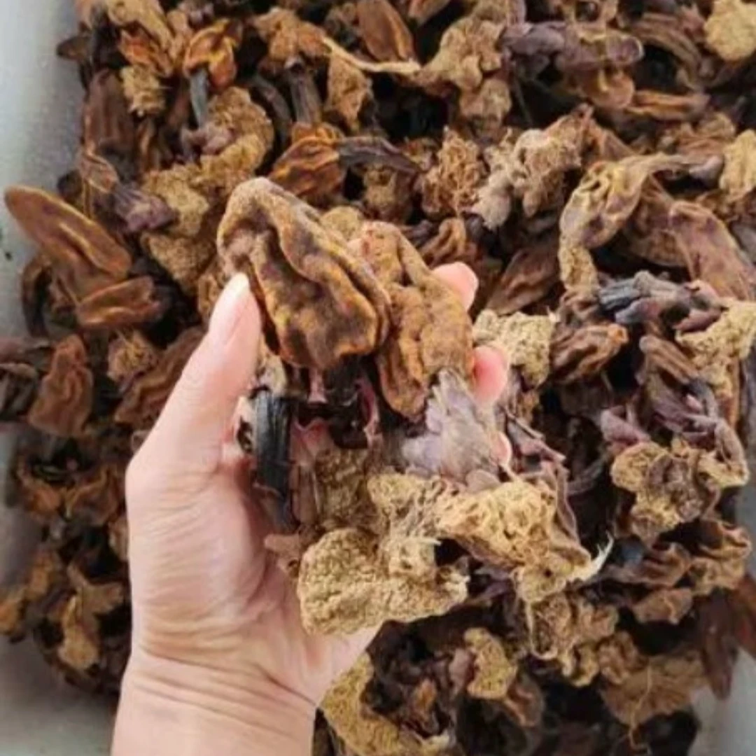 滇峰珍选---汇草