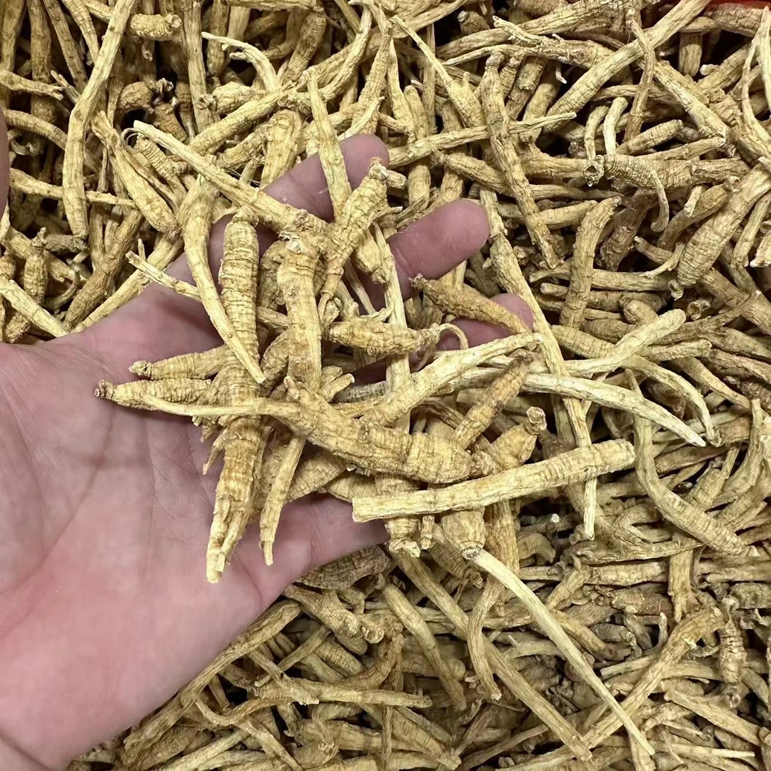 【三三】参头根 250g