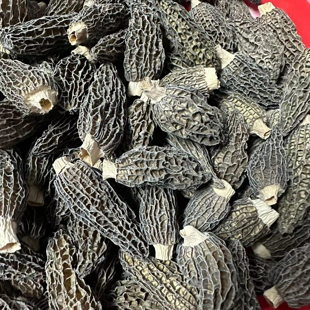 【三三】精品密纹全剪脚羊肚菌 250g