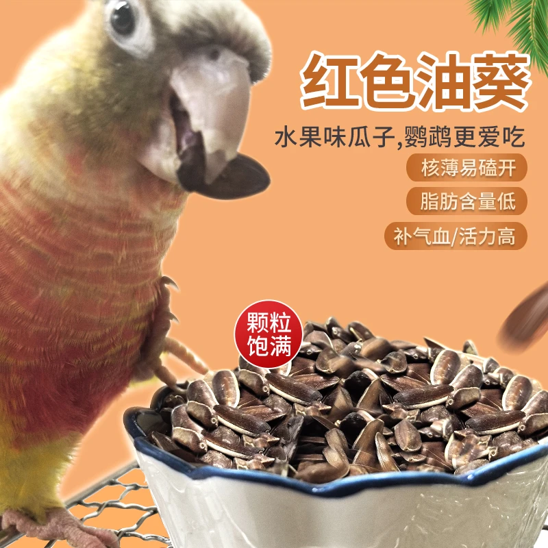 鹦鹉零食增肥红瓜子低脂不上火牡丹玄凤和尚小太阳鹦鹉零食饲料