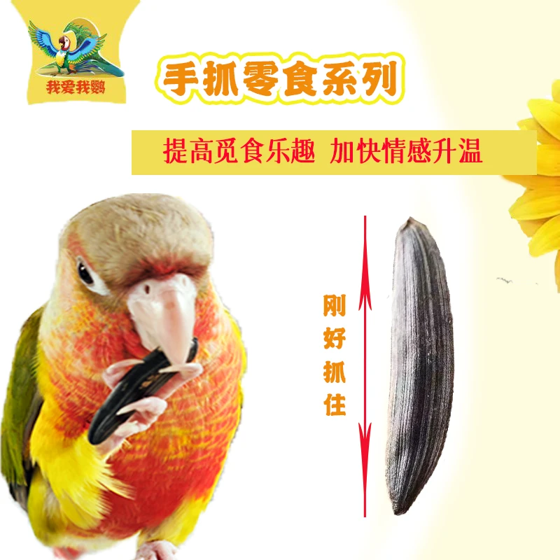 手抓零食小太阳和尚大型鹦鹉增肥促进提升感情互动零食系列