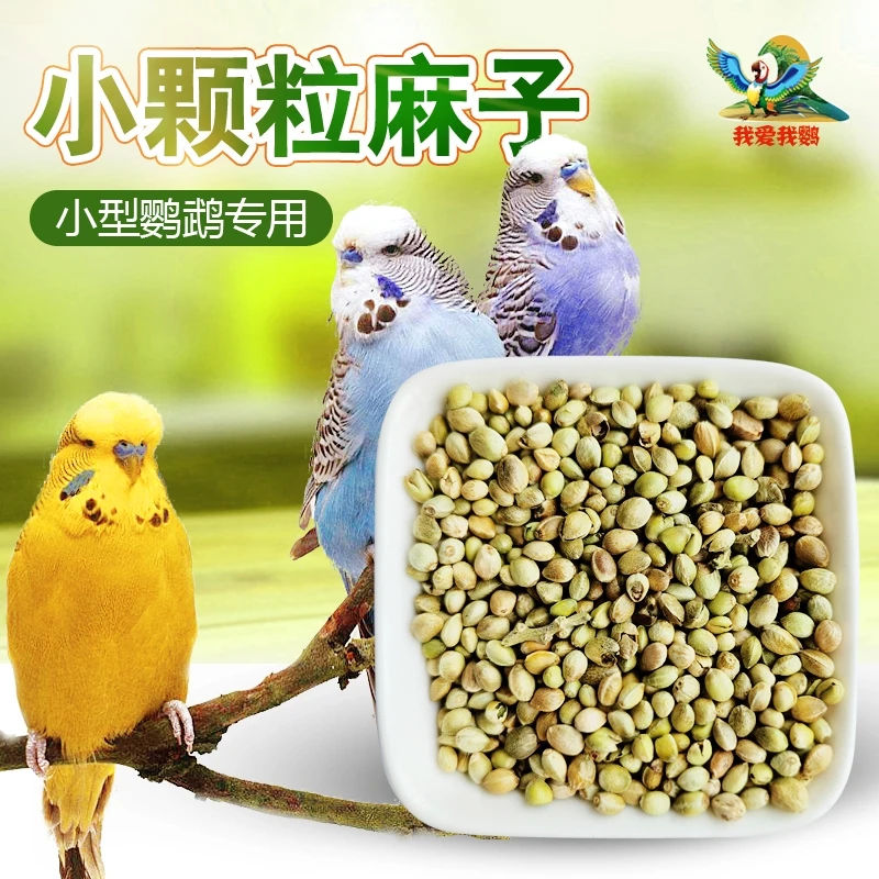 纸壳麻子营养增肥鹦鹉专用火麻仁鸟食